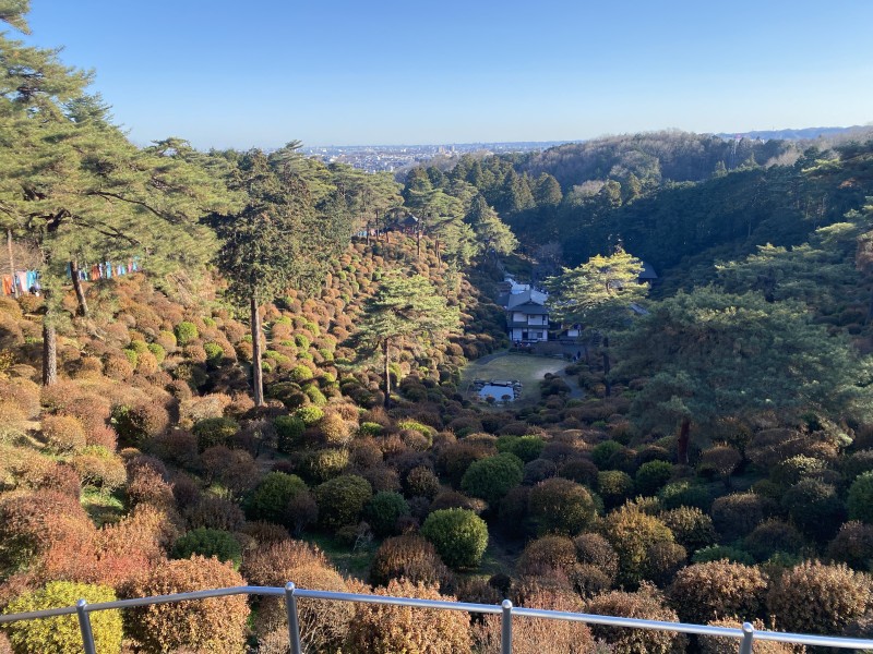 明けましておめでとうございます